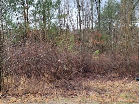 5500 Echols Rd, Cabot, AR 72023 photo 10