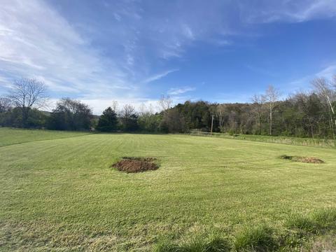 lot7 Denton Ferry Dr, Cotter, AR 72626 photo 2