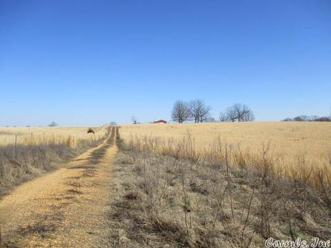 1006 Greene 424 Rd, Marmaduke, AR 72443 photo 4