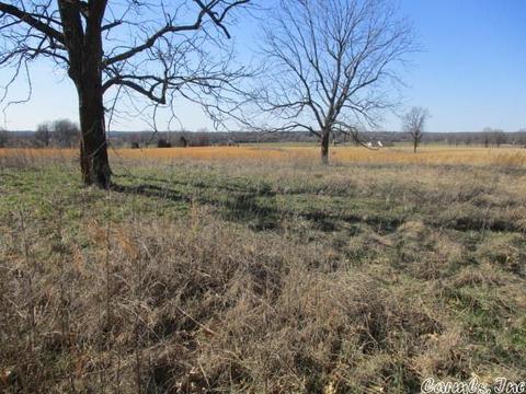 1006 Greene 424 Rd, Marmaduke, AR 72443 photo 3