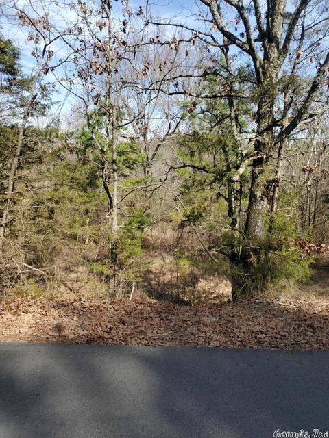 100 106 Second, Mena, AR 71953 photo 3