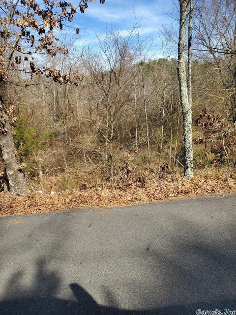 100 106 Second, Mena, AR 71953 photo 2