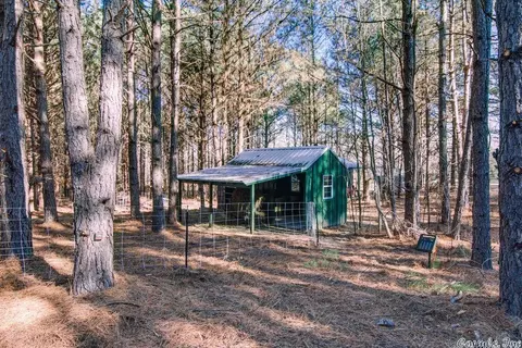 102 Mc 75, Doddridge, AR 71834 photo 31