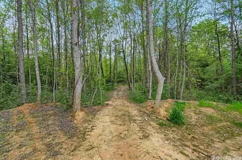 102 Mc 75, Doddridge, AR 71834 photo 28