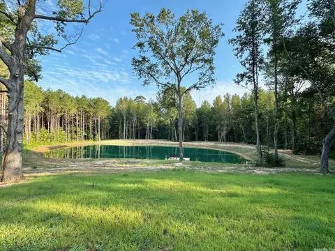 102 Mc 75, Doddridge, AR 71834 photo 2