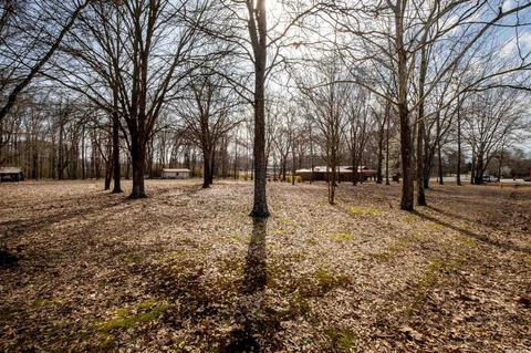 23 Bradley Drive, Cabot, AR 72023 photo 7