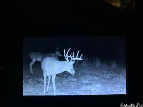 3458 Squirrel Hill Rd, Glencoe, AR 72539 photo 36