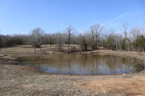 3458 Squirrel Hill Rd, Glencoe, AR 72539 photo 27