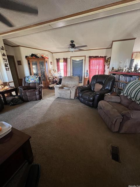 3458 Squirrel Hill Rd, Glencoe, AR 72539 photo 6