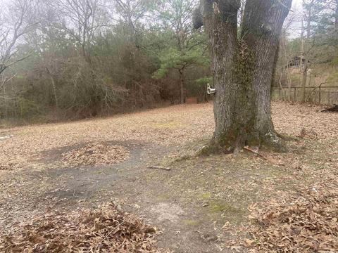 680 Mt Willow Rd, Malvern, AR 72104 photo 30