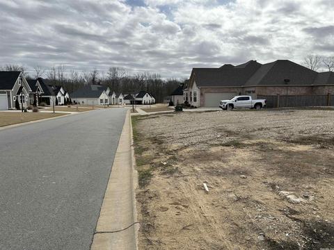 809 Nature Way Dr, Benton, AR 72019 photo 2