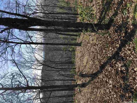 304 Cheyenne, Clinton, AR 72031 photo 10