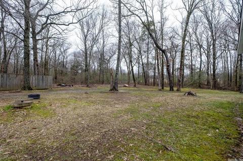 12804 Dalin Rd, Cabot, AR 72023 photo 33