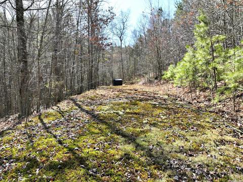 5840 Hwy 8 E, Mena, AR 71953 photo 33