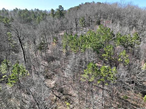 5840 Hwy 8 E, Mena, AR 71953 photo 32