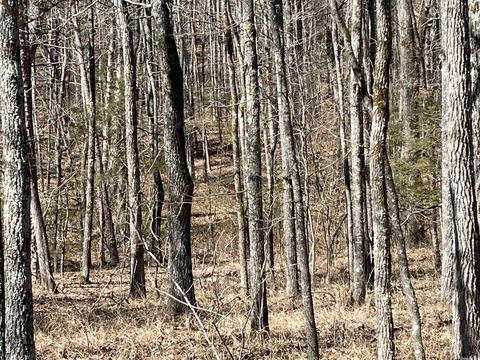 53 Pine Valley Dr, Conway, AR 72032 photo 14