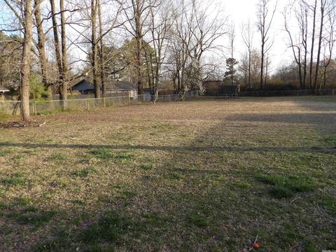 405 Eagle Gap, Mena, AR 71953 photo 5