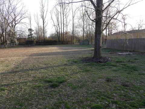 405 Eagle Gap, Mena, AR 71953 photo 6