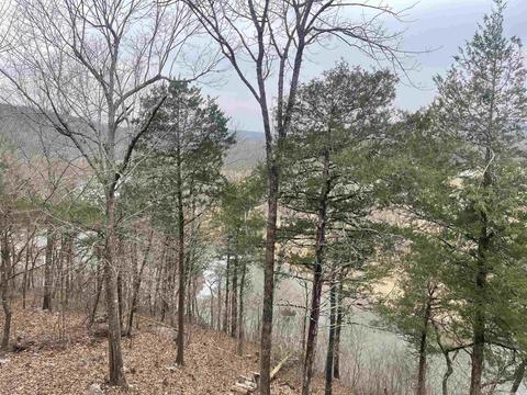 6 Riverview Cir, Hardy, AR 72542 photo 6