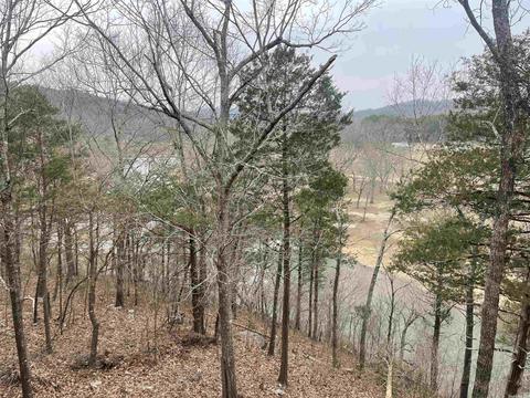 6 Riverview Cir, Hardy, AR 72542 photo 7