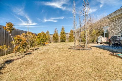 135 Grey Fox, Conway, AR 72034 photo 35