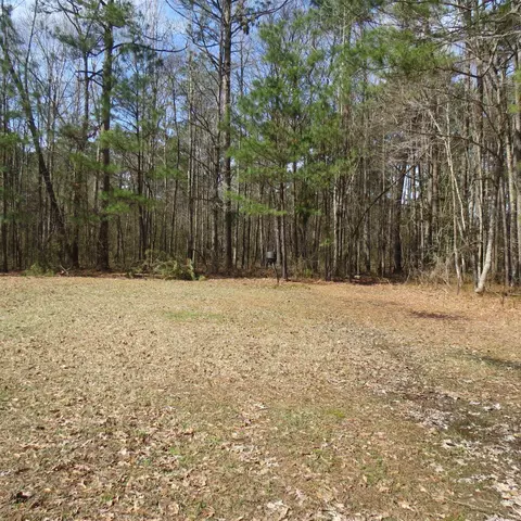 3908 Big Creek Rd, Pine Bluff, AR 71603 photo 44