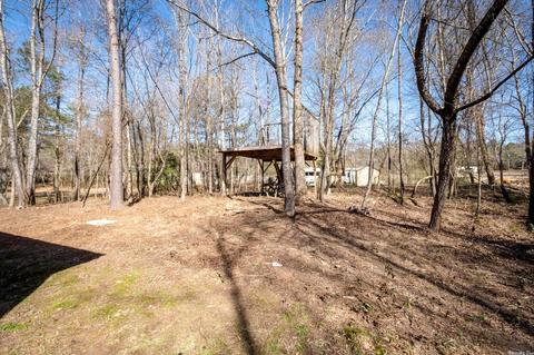 16800 Pineview Cir, Mabelvale, AR 72103 photo 44
