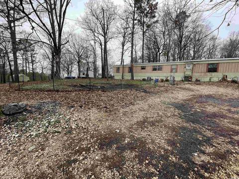 4434 Dixie Ln, Benton, AR 72019 photo 5