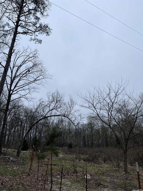 4434 Dixie Ln, Benton, AR 72019 photo 18