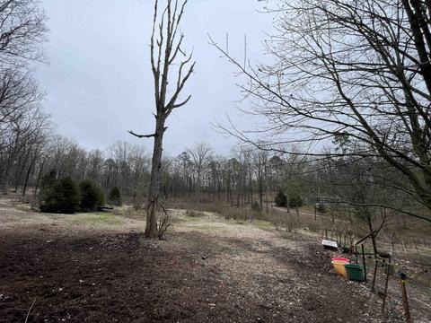 4434 Dixie Ln, Benton, AR 72019 photo 20