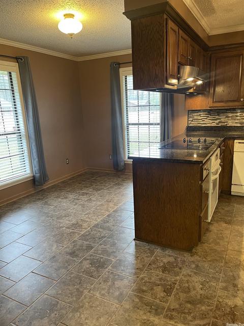5901 S Plum St, Pine Bluff, AR 71603 photo 16