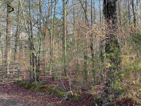 454 Ballard Rd, Cabot, AR 72023 photo 2
