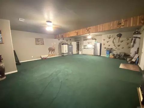 200 Emma Dr, Mountain View, AR 72560 photo 33