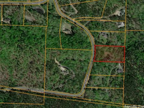 17 Golden Eagle Dr, Paron, AR 72122 photo 1