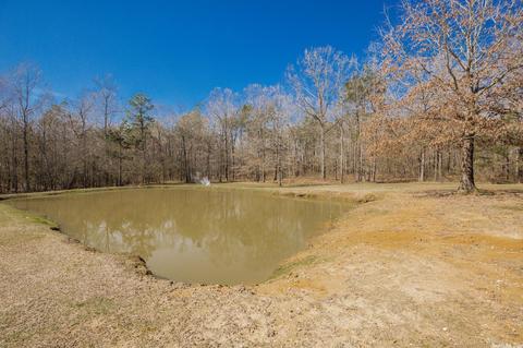 160 Presley Rd, Rison, AR 71665 photo 33