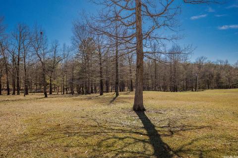 160 Presley Rd, Rison, AR 71665 photo 41