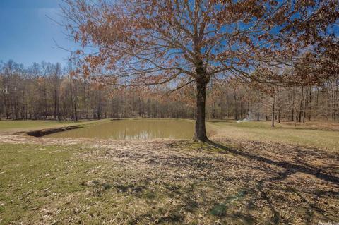 160 Presley Rd, Rison, AR 71665 photo 5