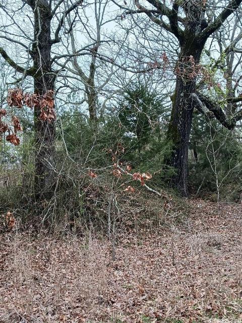 706 Old Bear Rd, Royal, AR 71968 photo 6