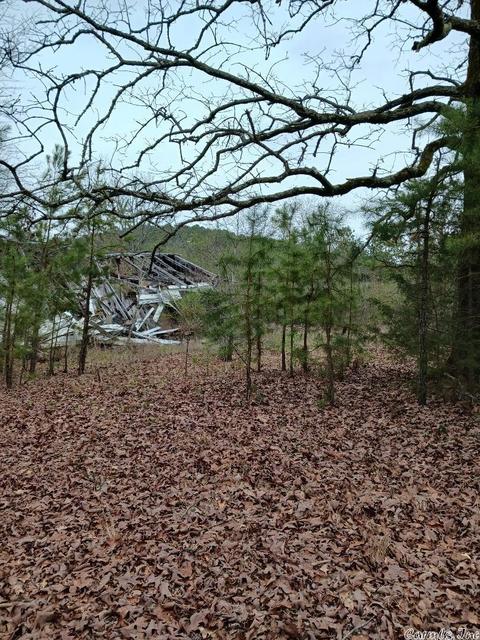 706 Old Bear Rd, Royal, AR 71968 photo 2