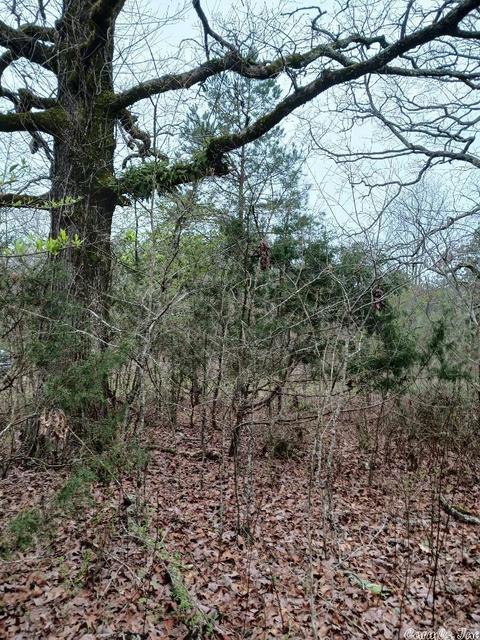706 Old Bear Rd, Royal, AR 71968 photo 3