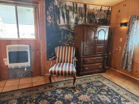 27 Lakefront Dr, Mount Ida, AR 71957 photo 35