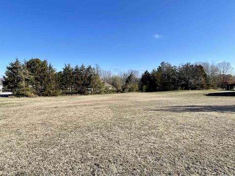 43 Chaney Dr, Melbourne, AR 72556 photo 21