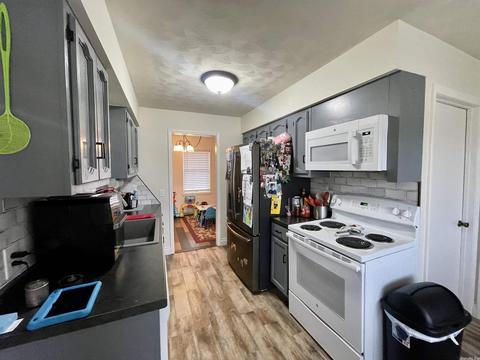 43 Chaney Dr, Melbourne, AR 72556 photo 7