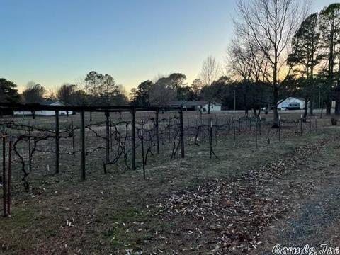 128 Meadow Ln, Rose Bud, AR 72137 photo 28