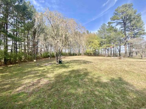 295 Jumbo Rd, Melbourne, AR 72556 photo 19