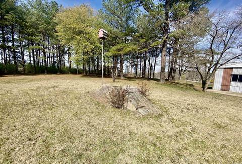 295 Jumbo Rd, Melbourne, AR 72556 photo 20