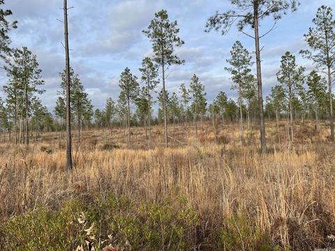 12764 Mars Hill Rd, Bauxite, AR 72011 photo 2