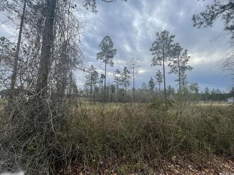 12764 Mars Hill Rd, Bauxite, AR 72011 photo 3