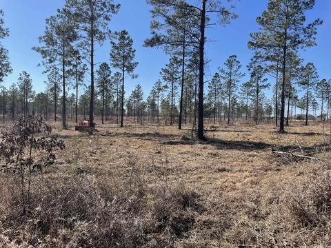 12764 Mars Hill Rd, Bauxite, AR 72011 photo 1