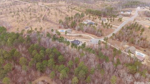 4041 Bent Tree Dr, Benton, AR 72019 photo 47